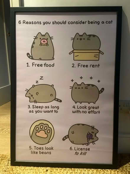Photo of free Cat poster (St Margarets TW1) #1