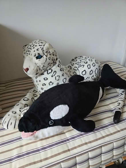 Photo of free Soft toys (Oxford OX4) #1