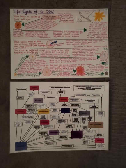 Photo of free 2 revision posters (N10 3TP) #1