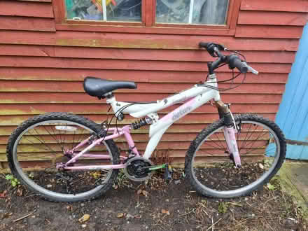 Photo of free Girls mountain bike (Hanworth TW13) #1