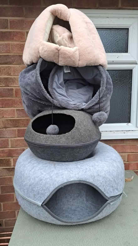 Photo of free Cat beds (Edenbridge TN8) #1