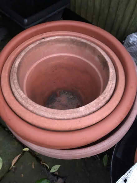 Photo of free Extra large plastic plant pots (Birstall WF17) #2