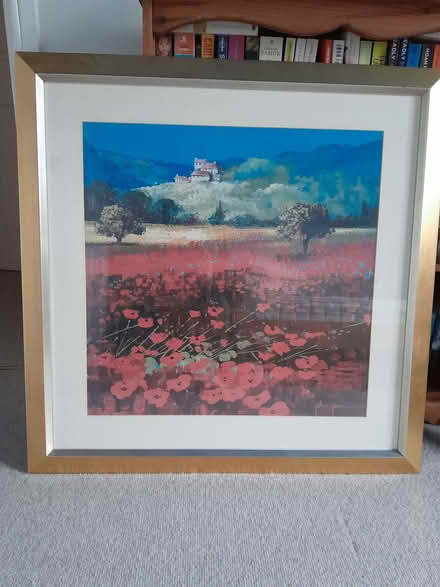 Photo of free Framed picture (Buggs Bottom RG4) #1