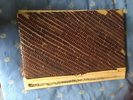 Photo of free Large unused photo album with damaged cover (Great Shelford CB22) #1