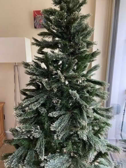 Photo of free Artificial Christmas Tree (Broadwater Down TN2) #1