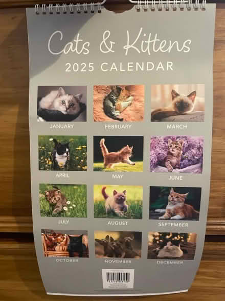 Photo of free Cat and kitten 2025 Calendar (GL50) #2