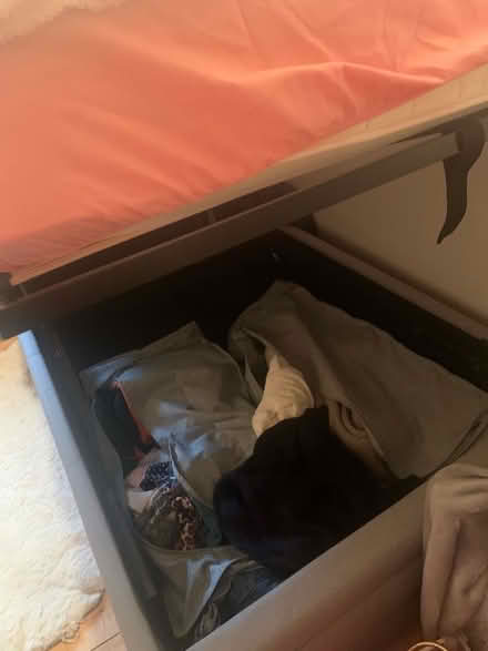 Photo of free Single bed (Glympton OX20) #3