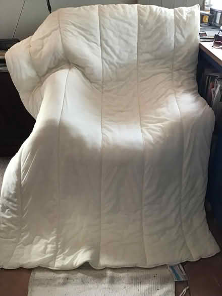 Photo of free Single duvet, for pet bedding? (Presteigne LD8) #2