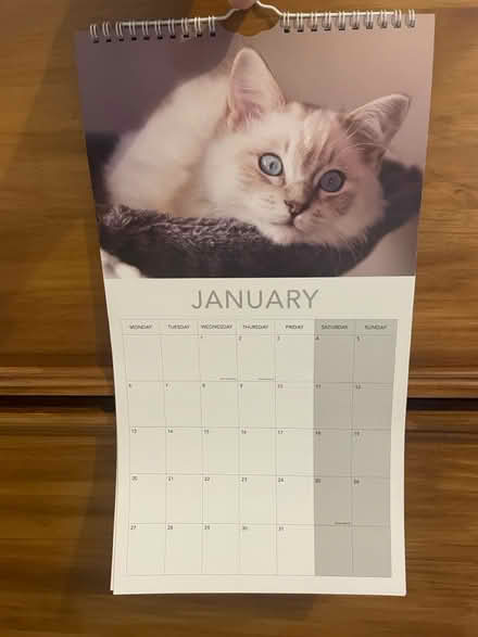 Photo of free Cat and kitten 2025 Calendar (GL50) #3