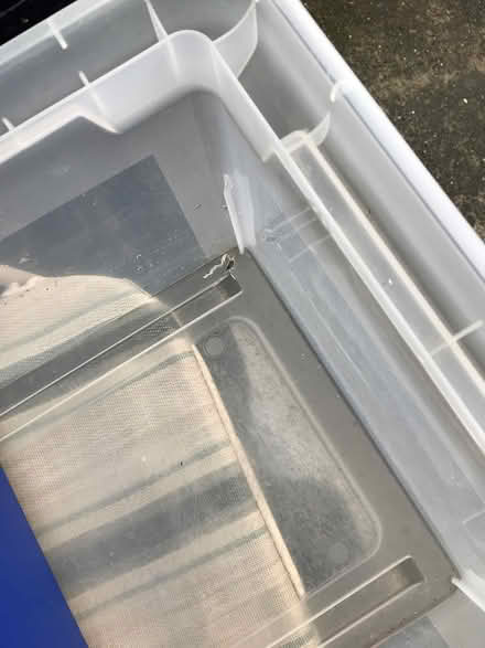 Photo of free Plastic file bin for folders (San Anselmo near Andronico’s) #2