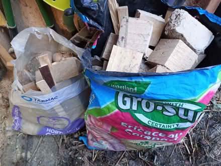 Photo of free Firewood (Lakenham NR1) #1