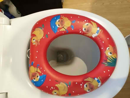 Photo of free Child's toilet seat (Little Hallam DE7) #3
