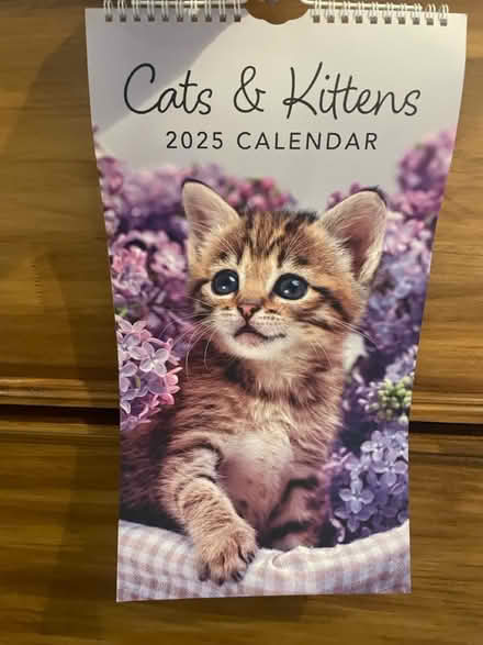 Photo of free Cat and kitten 2025 Calendar (GL50) #1