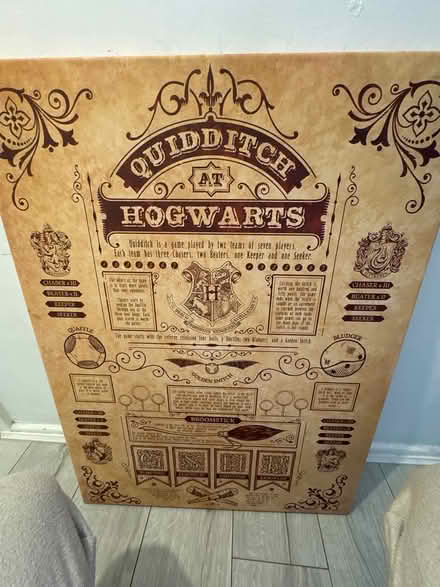 Photo of free Harry Potter Quidditch Canvas (BN12 Goring) #1