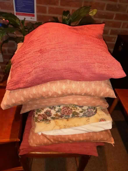 Photo of free Scatter Cushions (BN43) #1