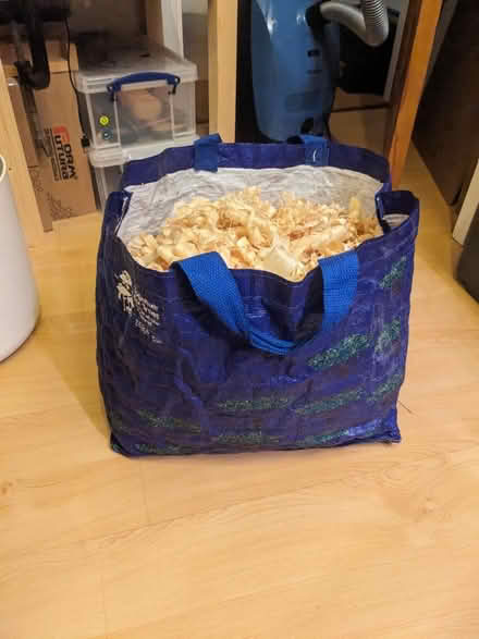 Photo of free Wood Shavings - Pine & Oak (N16 - Stoke Newington Common) #3