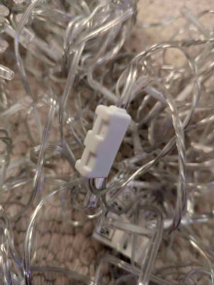 Photo of free Christmas Lights (Belmont TN35) #4