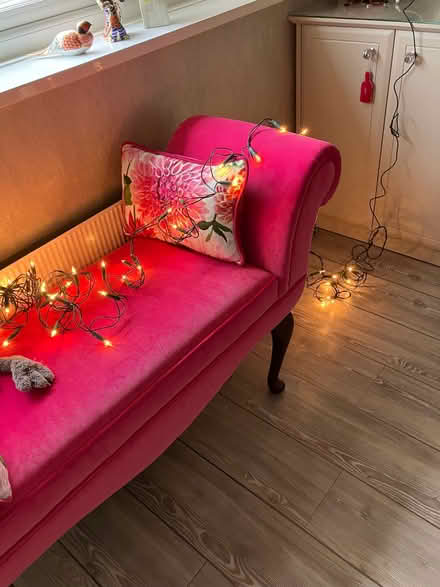 Photo of free Fairy lights - mains (Old Windsor SL4) #1