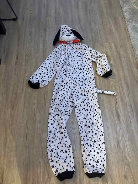 Photo of free Dalmatian dog dress up - age 7-9 (Maghull, L31) #1