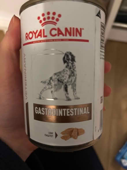 Photo of free 2x Royal Canin (Argyle road area W13) #1