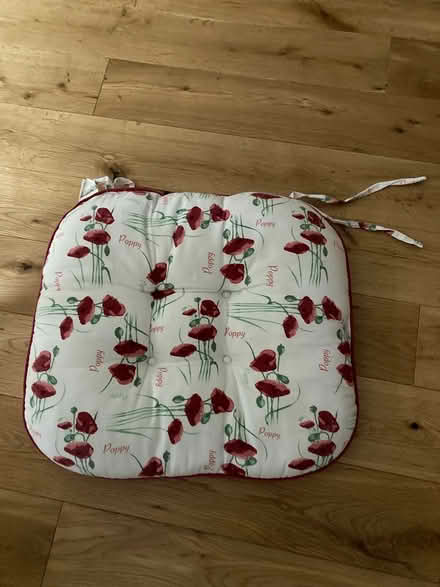 Photo of free Chair cushions (BR6 Pratts Bottom) #1