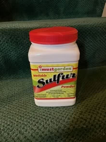 Photo of free sulfur powder (Waters Landing) #1