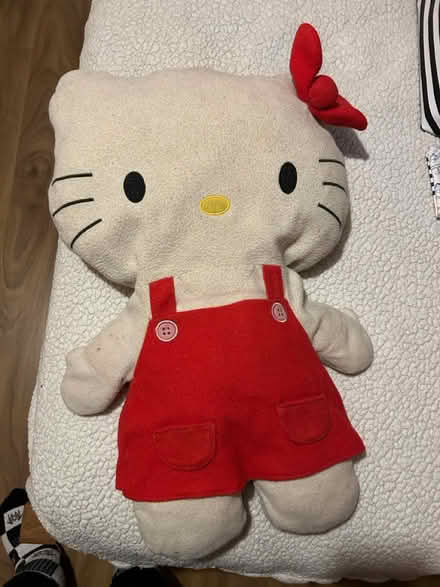 Photo of free Hello kitty (Stenson Fields) #1