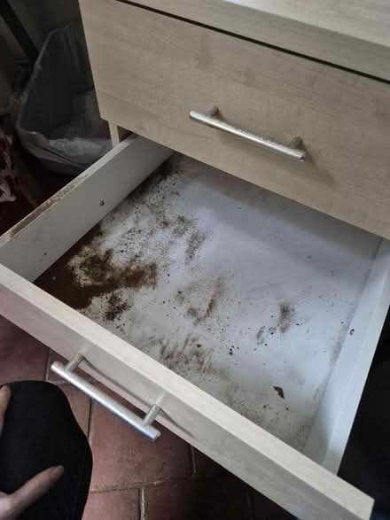 Photo of free Three drawer shelving unit (Desborough, HP11(High Wycombe)) #2