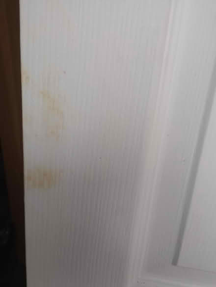 Photo of free White wood door (Newtown, Wigan WN5) #2