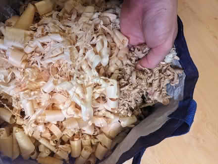 Photo of free Wood Shavings - Pine & Oak (N16 - Stoke Newington Common) #2