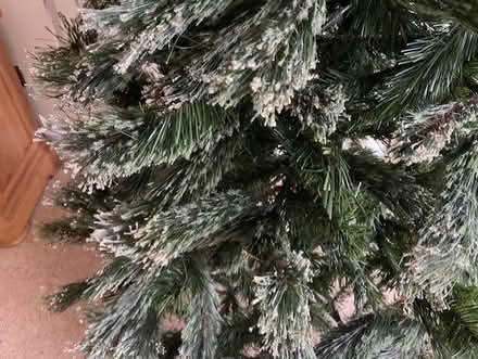 Photo of free Artificial Christmas Tree (Broadwater Down TN2) #2