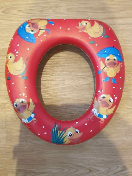 Photo of free Child's toilet seat (Little Hallam DE7) #1