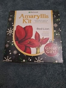 Photo of free amaryllis kit 20874 #1