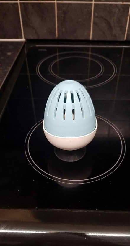 Photo of free Laundry Egg (Southdown) #1