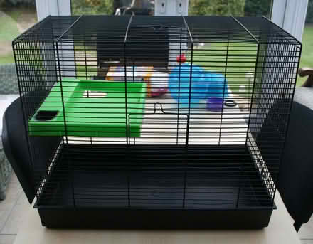 Photo of free Rodent Cage (Sharmans Cross B91) #1