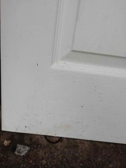 Photo of free White wood door (Newtown, Wigan WN5) #3