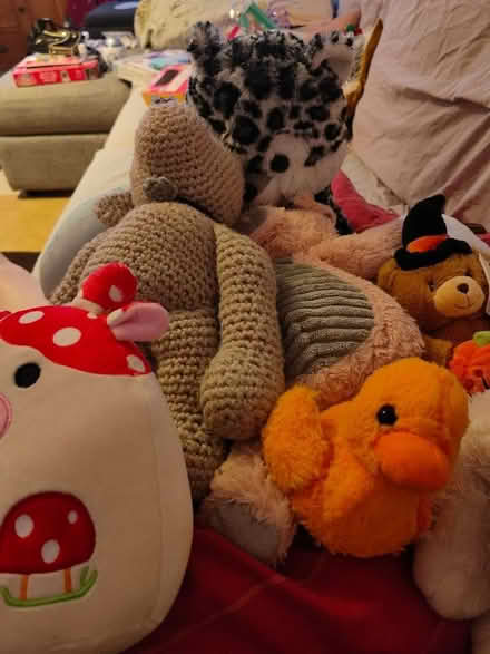 Photo of free Bag of Teddies (High Ercall TF6) #1