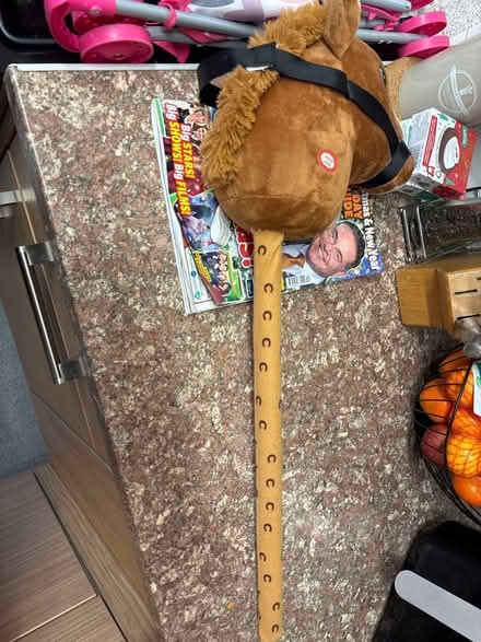 Photo of free Ride on horse (TW12) #1