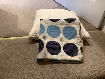 Photo of free Feather cushion (Hampsthwaite HG3) #1