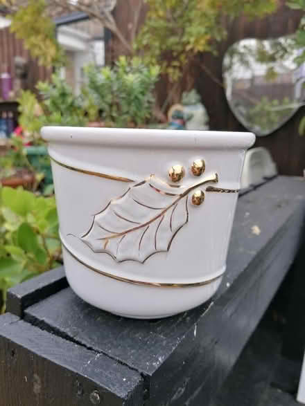 Photo of free Ceramic flower pot cover. (Langney BN23) #1