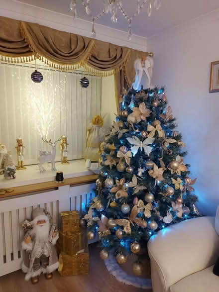 Photo of free 6ft Frosted Christmas tree (Calcot RG31) #1