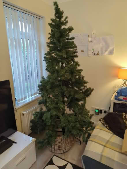 Photo of free 6.5ft Christmas plastic Christmas tree (Redhill RH1) #1