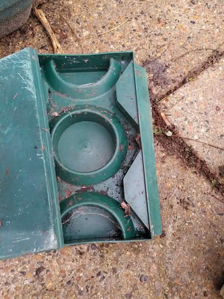 Photo of free Slug trap (Earlham NR4) #1