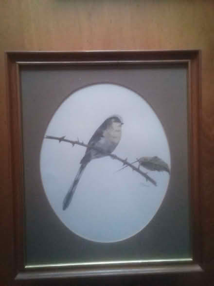 Photo of free Pictures x6 (Currie EH14) #2
