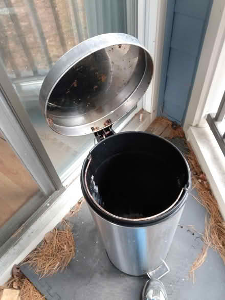 Photo of free Kitchen trashcan (Dorsey's Search) #2