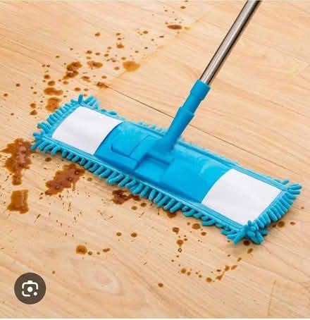 Photo of Flat Mop (St Ann's Wells Gardens area BN3) #1