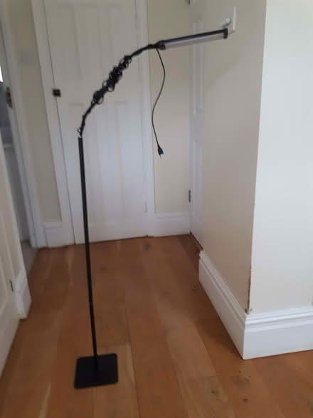 Photo of free Standard light (Dulwich SE21) #1