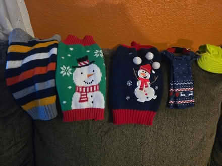 Photo of free Dog sweaters (Humboldt Hill, Eureka) #3