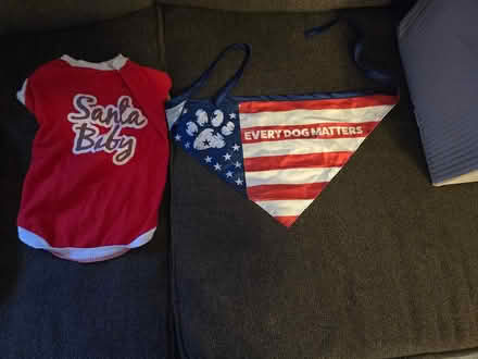 Photo of free Dog sweaters (Humboldt Hill, Eureka) #1