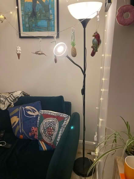 Photo of free Floor lamp (West Green N15) #1